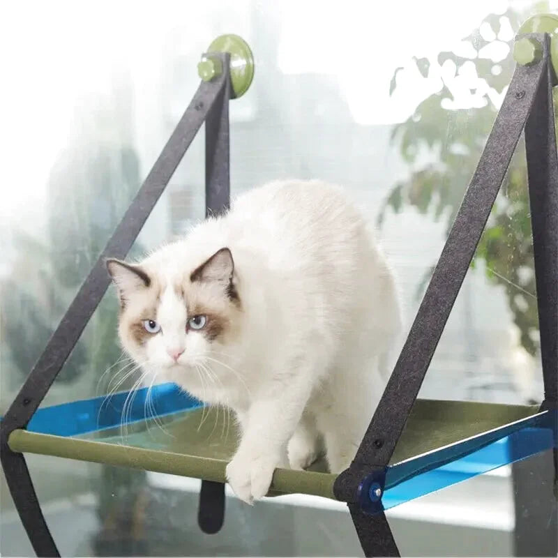 Hamac à Chat à Ventouse Structure en Bois Solide Bleu