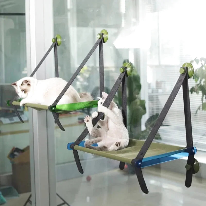 Hamac à Chat à Ventouse Structure en Bois Solide Bleu