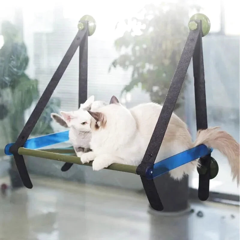 Hamac à Chat à Ventouse Structure en Bois Solide Bleu