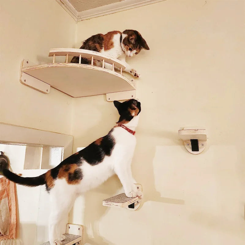 Hamac à Chat avec 3 Escaliers en Bois