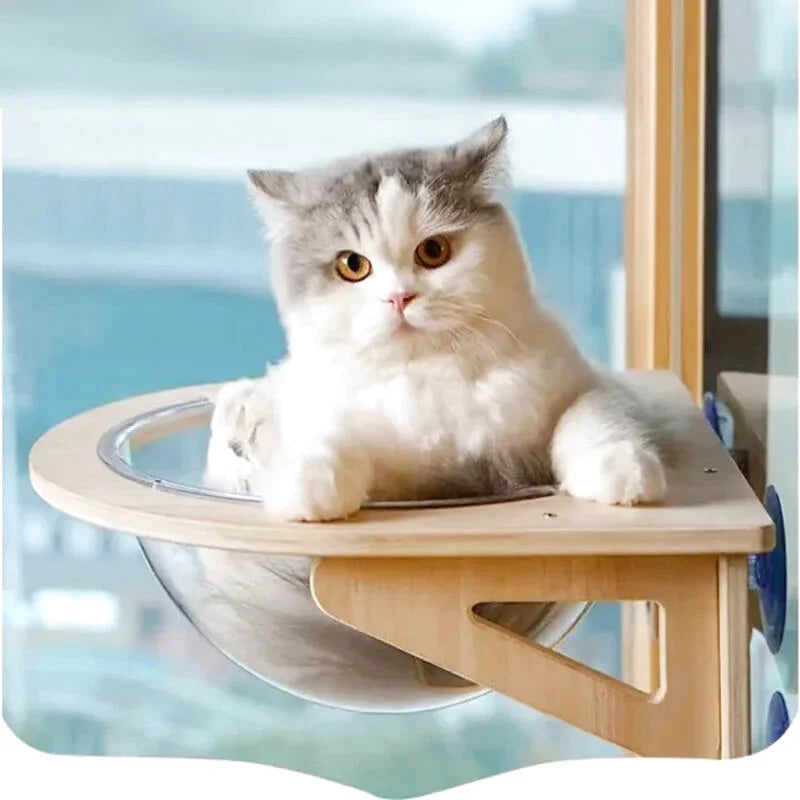 Hamac à Chat Bulle Transparent - Accroche à Ventouse