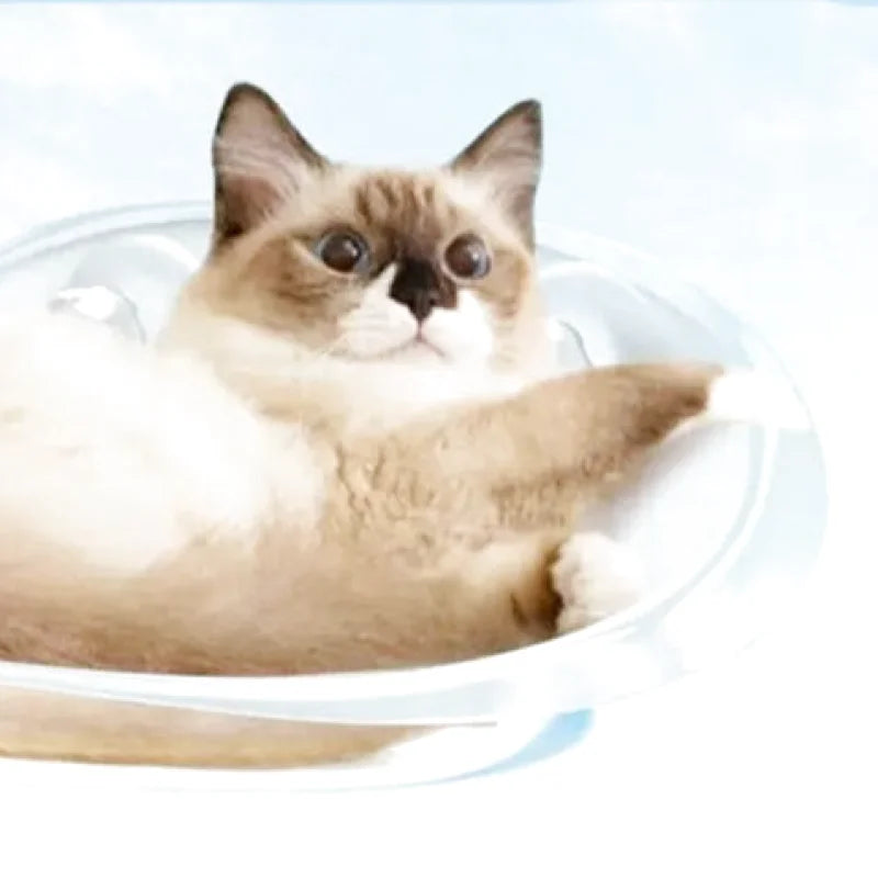 Hamac à Chat Bulle Transparente - Accroche vitre par Ventouse