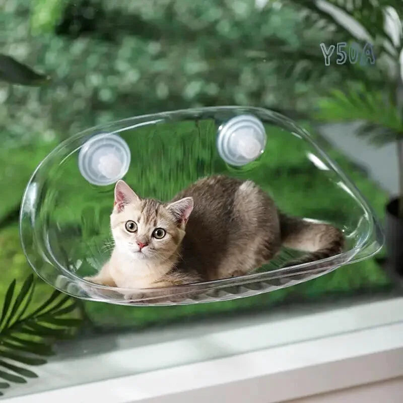 Hamac à Chat Bulle Transparente - Accroche vitre par Ventouse